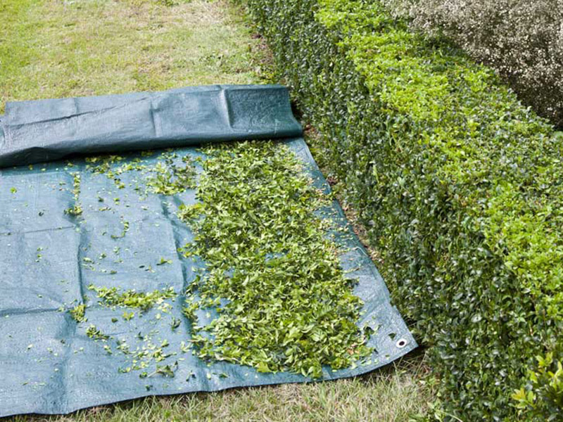 Desinfektionsmittel Hanbury Verleumden hedge clippings Bedienung